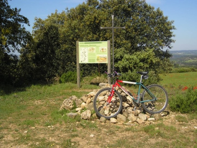  Rent a bike 